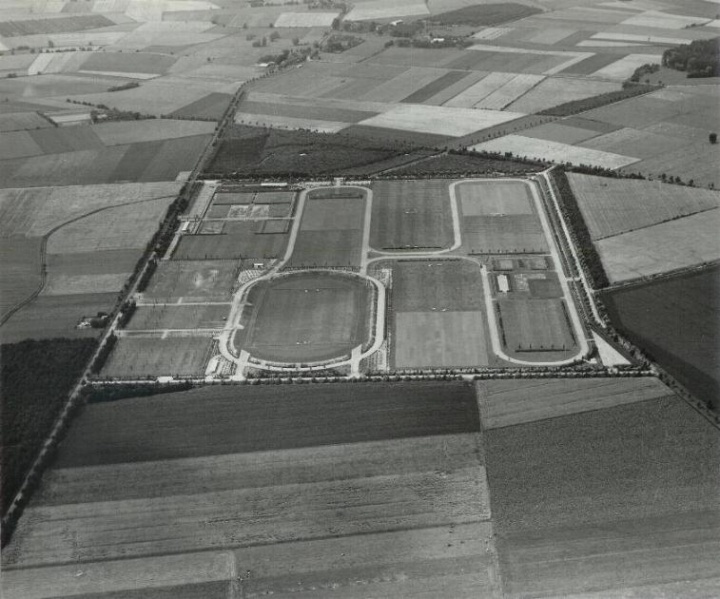 Bestand:Driehoeksbos.jpg