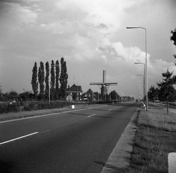 Bestand:Boschdijk Annemie.jpg